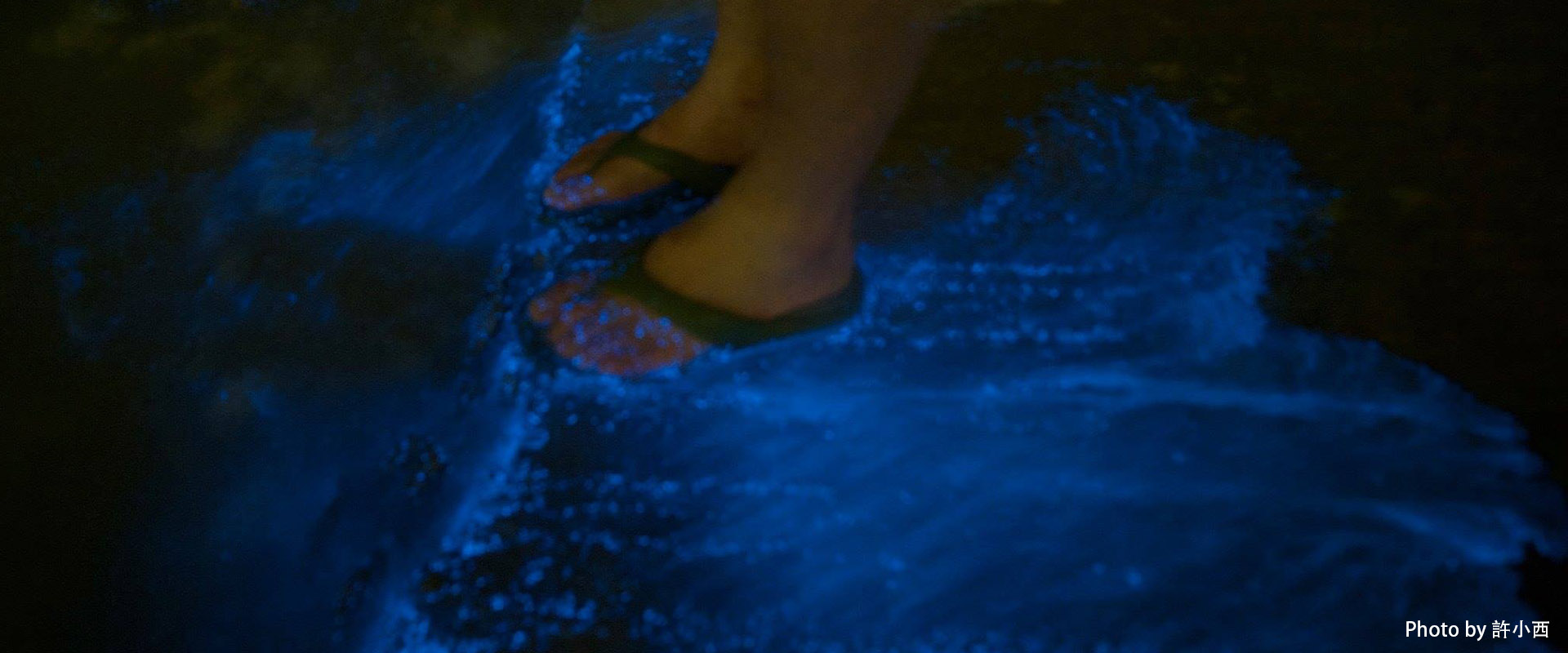 【作夥逗陣去旅行】清明連假-金門小麥季、尋找藍眼淚、經武酒窖、高梁嗆蟹 網紅美食打卡三日趣